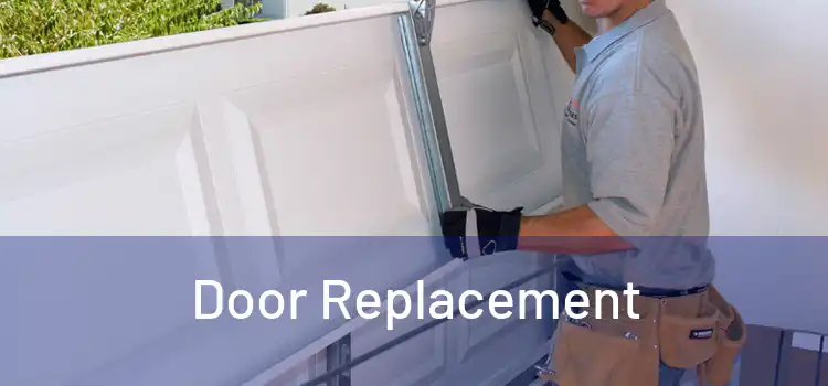  Door Replacement 