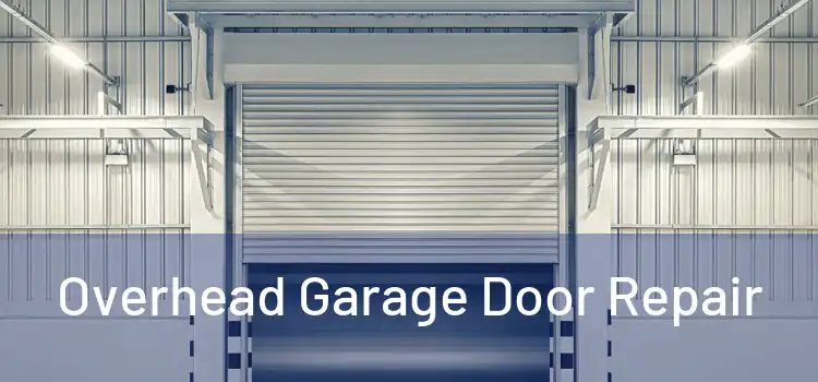  Overhead Garage Door Repair 